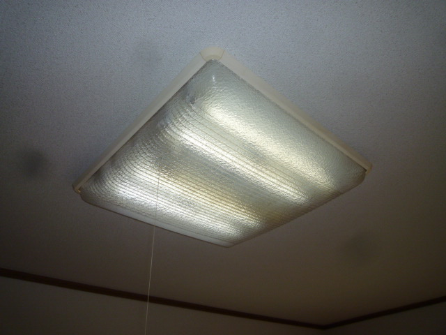 ブロードヒルⅡの設備|照明