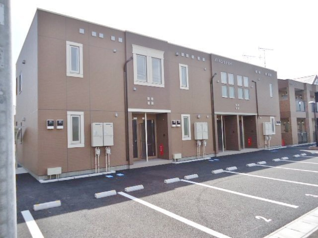 キンモクセイの外観