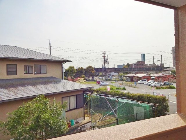 キンモクセイの展望