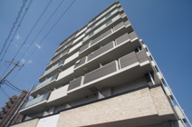 グルーヴ平野の画像