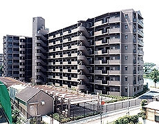 【外観】 | グリーンコーポ園田