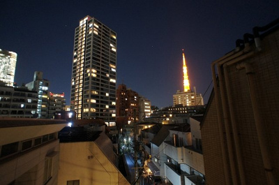 【展望】 | 麻布台3丁目中古戸建て | 屋上からの夜景です。