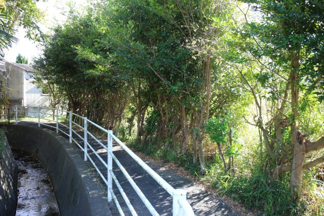 常滑市大谷　売地の前面道路含む現地写真