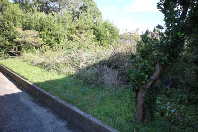 常滑市大谷　売地の前面道路含む現地写真