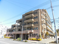 コーエイハイムの画像