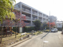 雲雀丘花屋敷ガーデンハウスの画像