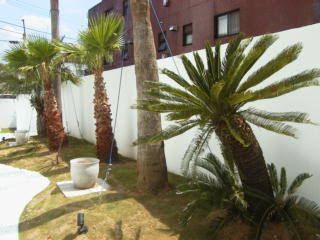 【その他共用部分】 | 芙蓉倶楽部