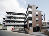 クローバーの画像