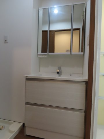 大阪市淀川区三津屋北１丁目の賃貸マンションの独立洗面台