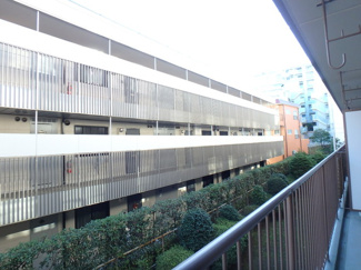 【展望】 | 展望　
