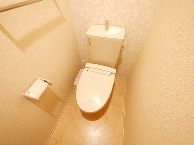 グラン　メゾン（東井戸堂町）のトイレ|トイレです