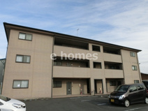 シーズン柞田の画像