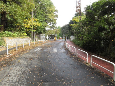 【周辺】 | パークハイムカトウ | 横浜国大南門