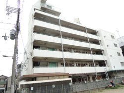 シャトー背戸口