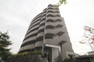 GranPino柴原の画像