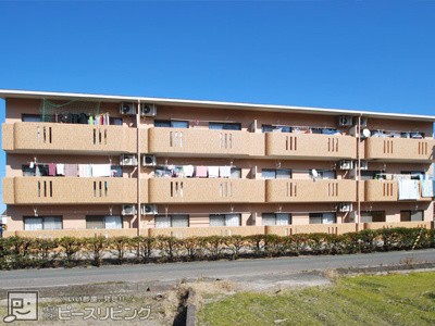 【外観】 | サウスコート