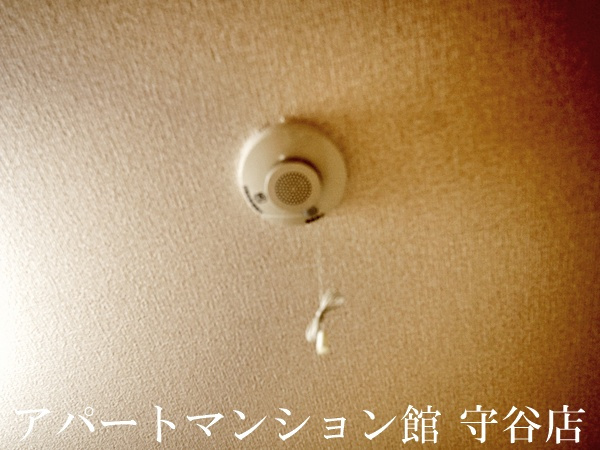 Dearcourtのその他