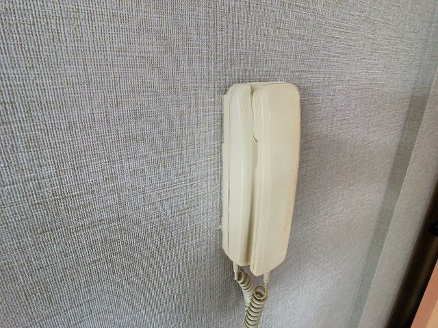 センティアムタナカのその他