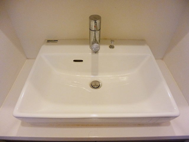 パークフラッツ浅草橋の設備|ハンドシャワー付広々洗面台です