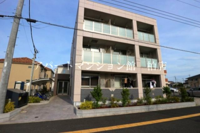 ストーン　フィールドの展望