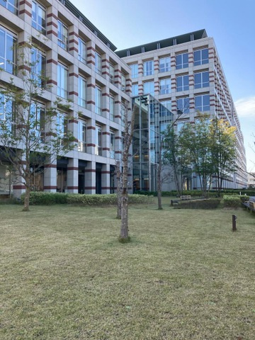 ストーン　フィールドの庭