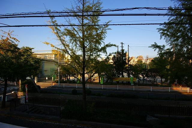 グローリー大宮の周辺|グローリー大宮（1LDK）　周辺