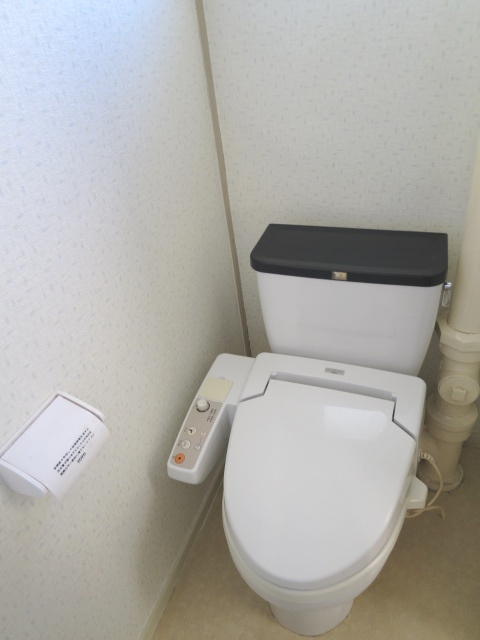 小川団地7号棟のトイレ