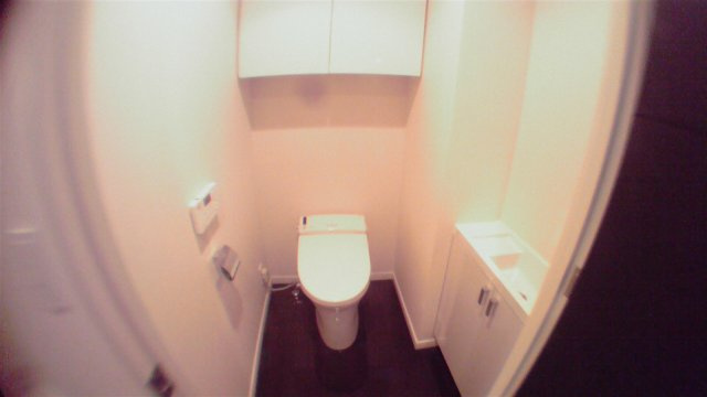 港区三田２丁目の賃貸マンションのその他|トイレ