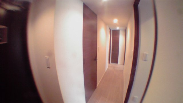 台東区上野３丁目の賃貸マンションの玄関