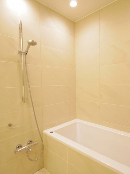 港区虎ノ門１丁目の賃貸マンションの浴室