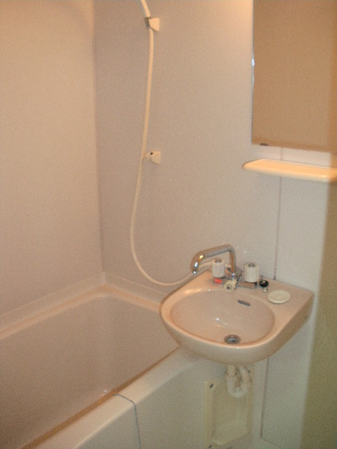 ハイムコーヤ3の浴室