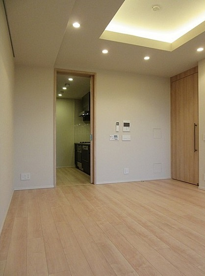 千代田区三番町の賃貸マンションのその他|リビング