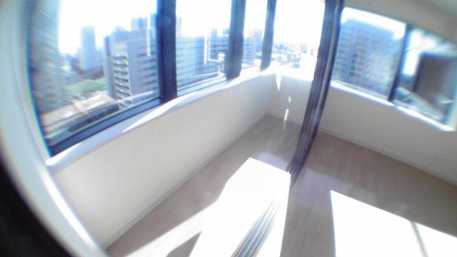 港区港南１丁目の賃貸マンションのその他|サンルーム