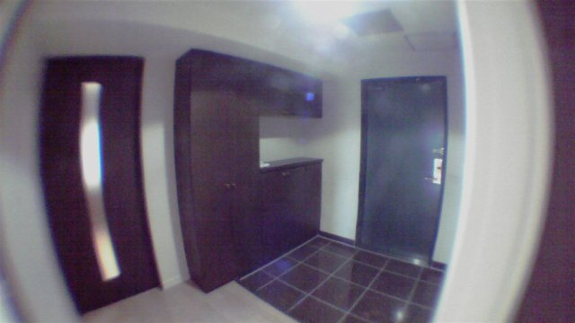 港区港南１丁目の賃貸マンションの玄関