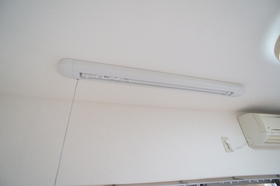 【その他】 | カーサラルーナ