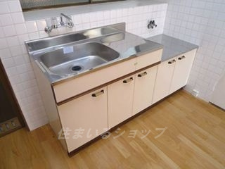 広島市安佐北区口田５丁目の一戸建てのキッチン