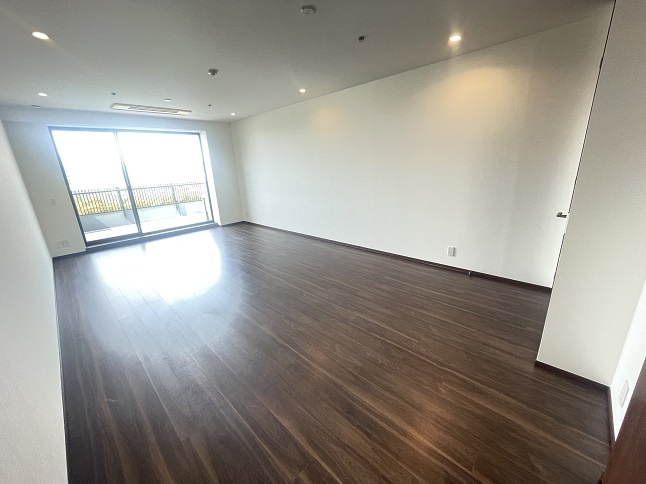 千代田区二番町の賃貸マンションのその他|リビング