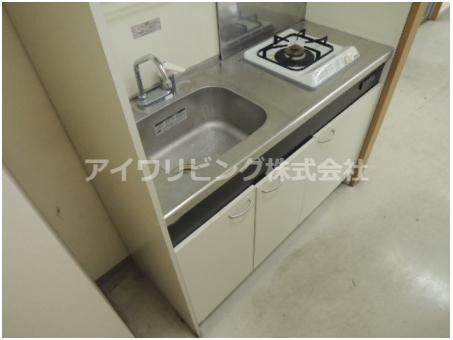 岩の入ハイツのキッチン