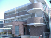 エトワールひこの画像