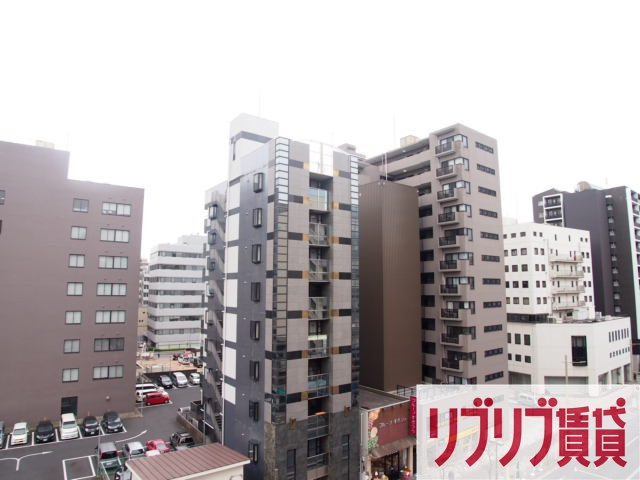 Pear Residence Central Parkの展望