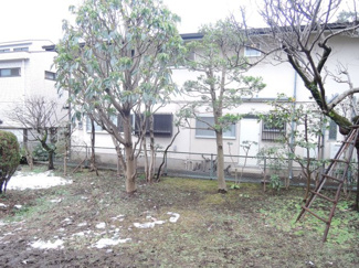 【庭】 | 中２丁目貸家