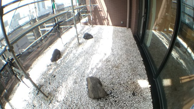 千代田区麹町３丁目の賃貸マンションのその他|バルコニー