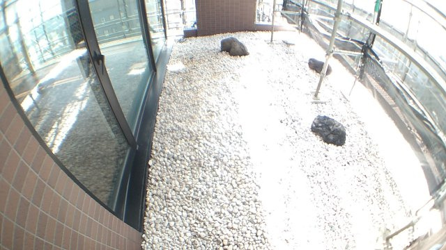 千代田区麹町３丁目の賃貸マンションのバルコニー