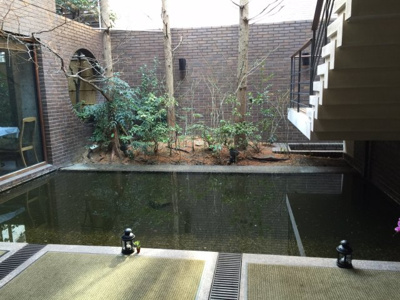 【その他共用部分】 | エクセレント芦屋 | 店舗から池が見えます