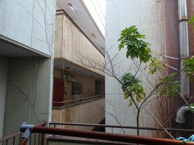 【展望】 | 諏訪ビル