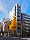 ＶＥＲＤＥ　ＶＩＳＴＡ代々木公園の画像