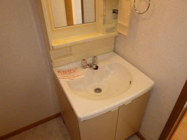 ニューエルディム北畝Bの洗面所