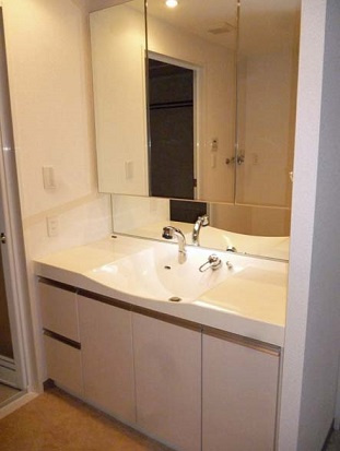 港区西新橋１丁目の賃貸マンションのその他|洗面