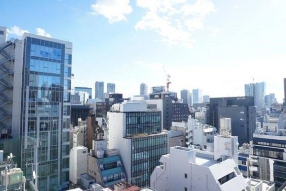 港区西新橋１丁目の賃貸マンションのその他|眺望