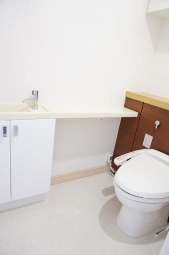 港区西新橋１丁目の賃貸マンションのその他|トイレ